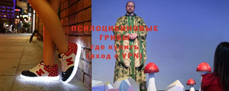 МЕГА ссылки  Вязники  Галлюциногенные грибы Cubensis 